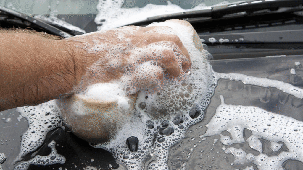 Shampoos Automotivos Concentrados